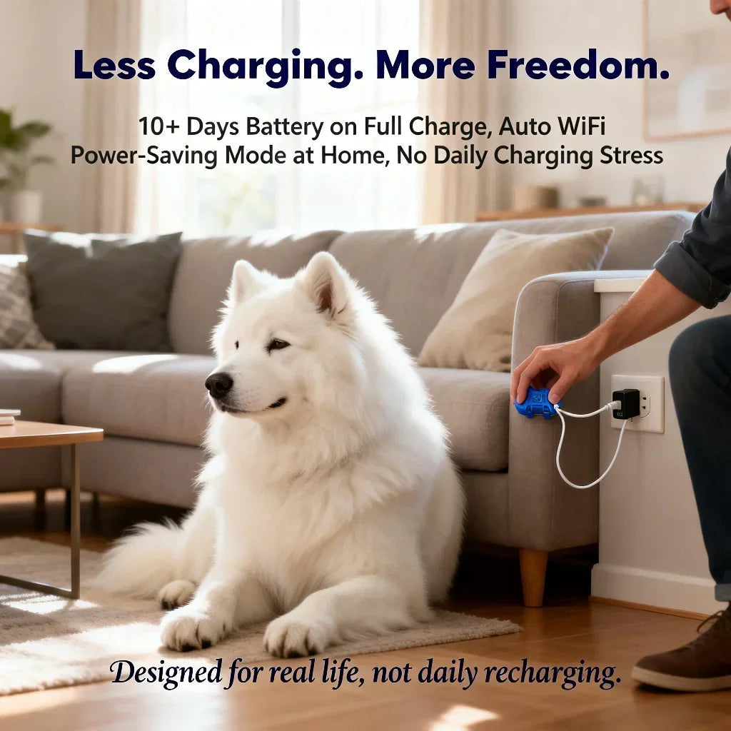 WANWAYTECH GPS Tracker for Dogs and Cats With 4G Tracking
