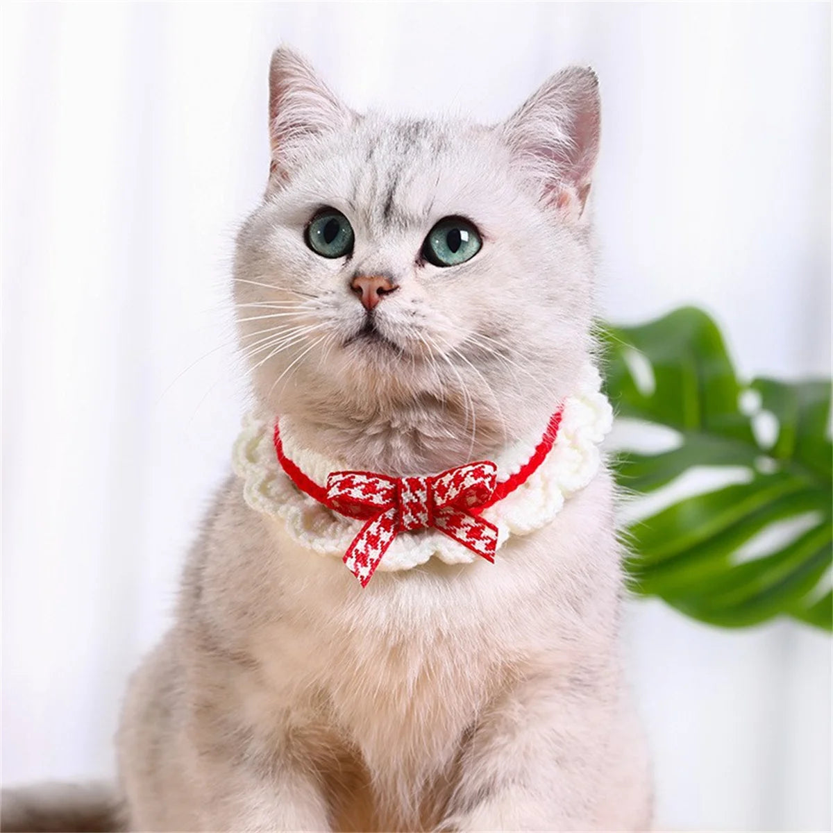 Knitted Bow Knot Decorative Lace Collar For Cats And Dogs
