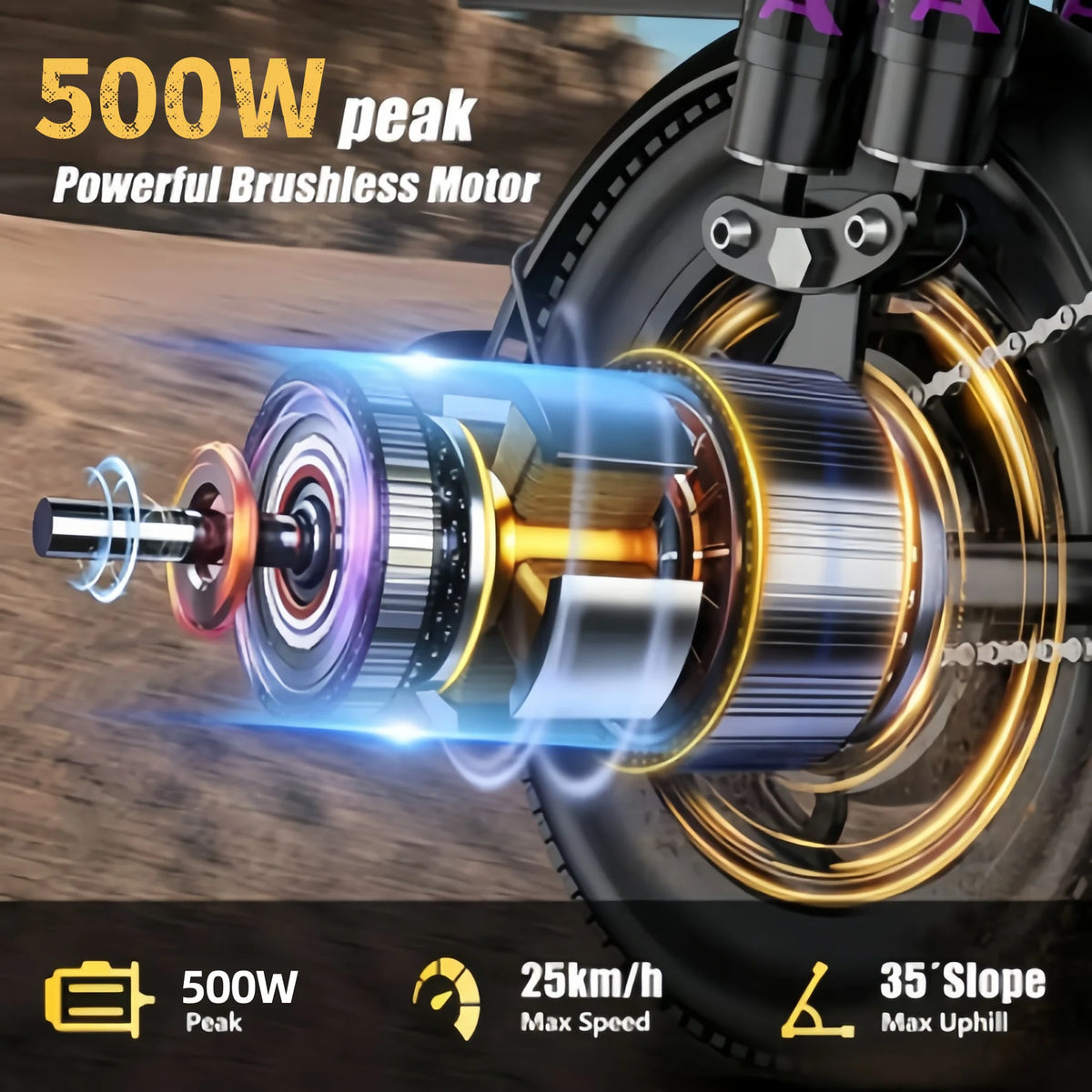 Foldable Adult Electric Bicycle 500W Motor 48V Battery